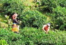 poverty reduction program requires vnd428 trillion