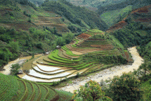 mu cang chai highlights vietnam beauty says cnbc