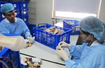 iraqi teacher living in vietnam wishes to donate organs and tissues