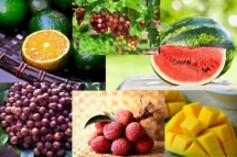 fruit exporters from all over eye vietnamese market