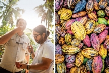 marou the made in vn renowned chocolate