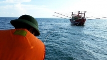 fishing boat sinks 31 crew members on board successfully rescued
