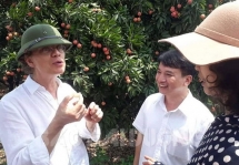 vietnamese fresh lychees allowed to be imported into japan