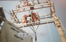 Tourists advised not to visit Co To island due to power disruption