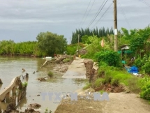 ca mau measures to mitigate damages from natural disasters
