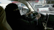 film screening brings vietnamese culture to saudi arabias friends