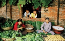 vietnamese spring rolls the special dish of asean culinary culture