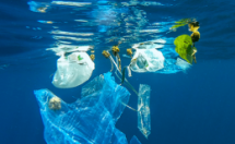 thailand bans single use plastic bags at major stores