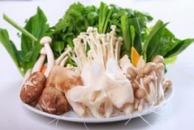 mushroom cancer fighters cell renewers among other benefits