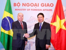 vietnam brazil enhance comprehensive cooperation