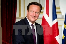 pm cameron huge untapped potential in uk vietnam trade ties