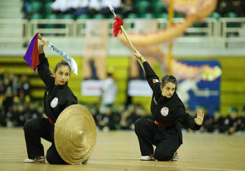 Vietnam hosts first International Vietnamese martial arts championship