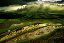 Vietnam Heritage Photo Awards 2017 opens for entries