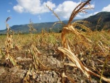 india hottest decade on record more than 1500 people killed in 2019