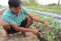 qatars embassy rescues 4 tons of watermelon