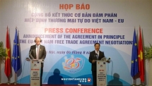 european parliament ratifies eu vietnam trade pact