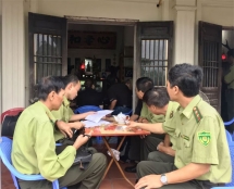 nam dinh province animals asia rescues female bear