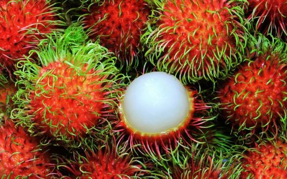 Top 10 rarest and tastiest fruits in the world