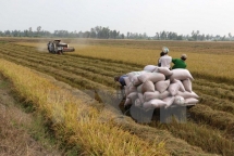 Vietnam, Mozambique discuss promoting agricultural ties