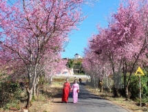 Boosting Vietnam tourism promotion to key markets