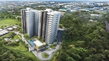 vsip goes far beyond industrial parks
