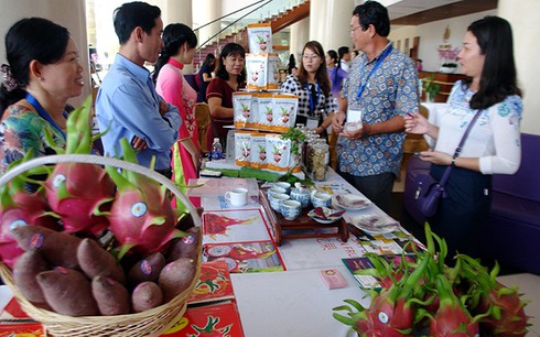 thanh long binh thuan tim huong khong le thuoc thi truong trung quoc hinh 3