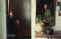 us court ruling on monsanto bolsters hope for vietnamese ao victims