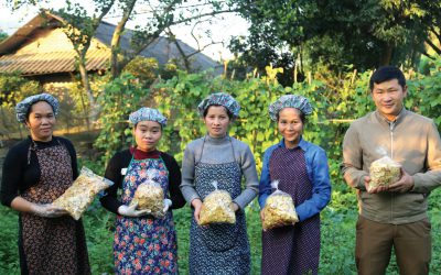 Bac Kan: Empowering women farmers in agricultural value chains
