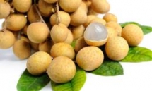 vietnam steps up work to help longan enter australian market