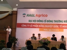 without the governments help hagl will sell 20000 hectares of rubber for chinese partner