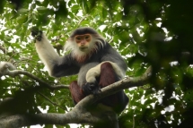 Smart phone app launched for nature reserve protection