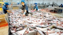 Food safety a must to ensure quality and competitiveness of Vietnamese products