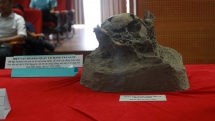krong no volcanic caves seek recognition as global geological park