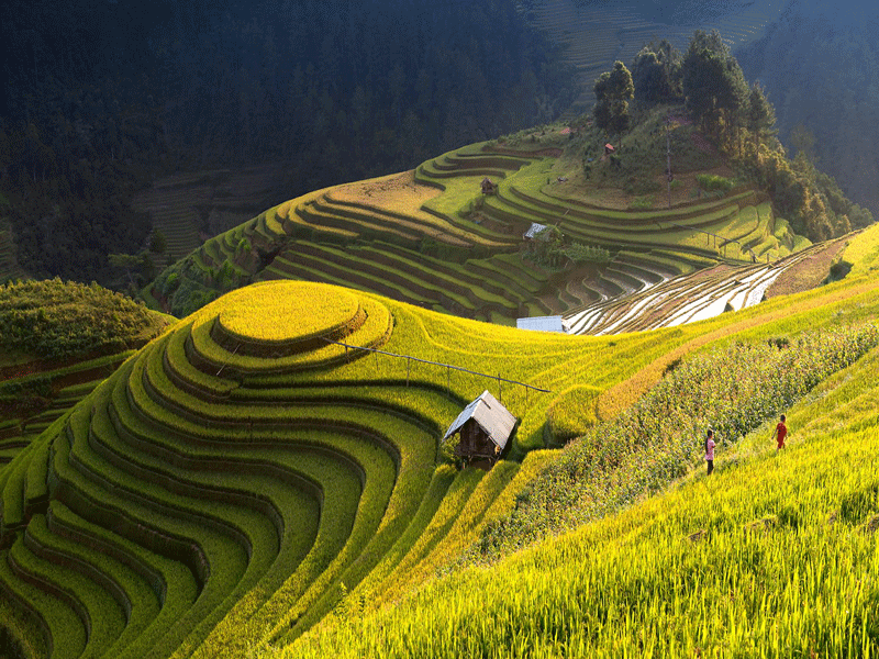 Mu Cang Chai, your ideal autumn destination
