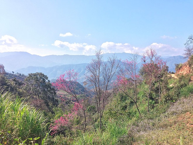 Mu Cang Chai, your ideal autumn destination
