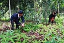 Red River Delta, north central regions mobilise 29.66 billion USD for new rural area building