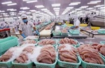 aquatic exports fetch over 55 billion usd in eight months