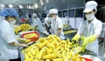 vietnam us enhance farm produce trade
