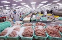 vietnam posts trade surplus with other cptpp members