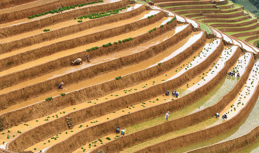 Four pictures by Vietnamese photographers make it to top 50 of AGORA Awards