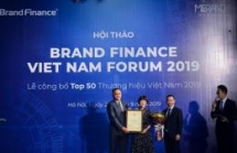 vietnamese national brand has incresed 8 levels