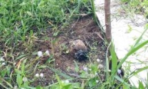 cluster bomb in quang tris school football field safely destroyed