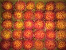 Fruit and vegetable exports estimated at USD1.3 billion