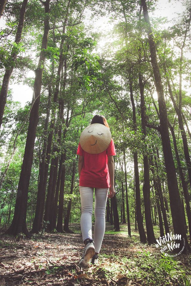 Youths promote Vietnam via “non la” album