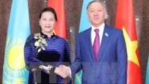 pm receives kazakhstans lower house leader