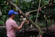 youths inspired by israeli farming hold free green tours to farms outside saigon