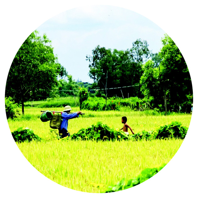 Rural homestays unique to Vietnam’s Mekong Delta