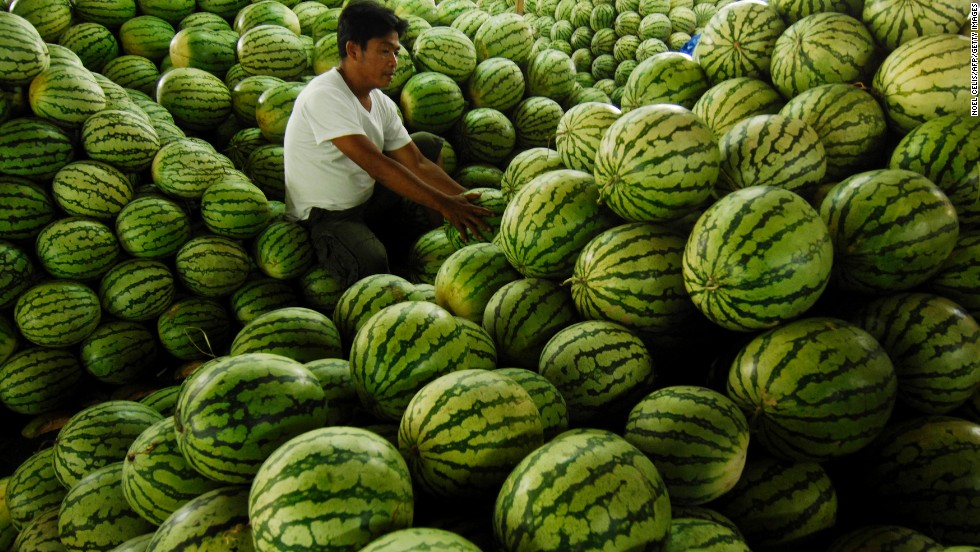 <strong>Watermelon</strong><br />Water content: 91.5%<br /><br />It's fairly obvious that watermelon is full of, well, water, but this juicy melon is also among the richest sources of lycopene, a cancer-fighting antioxidant found in red fruits and vegetables. In fact, watermelon contains more lycopene than raw tomatoes—about 12 milligrams per wedge, versus 3 milligrams per medium-sized tomato.<br /> <br />Although this melon is plenty hydrating on its own, Gans loves to mix it with water in the summertime. "Keep a water pitcher in the fridge with watermelon cubes in the bottom," she says. "It's really refreshing, and great incentive to drink more water overall."<br />