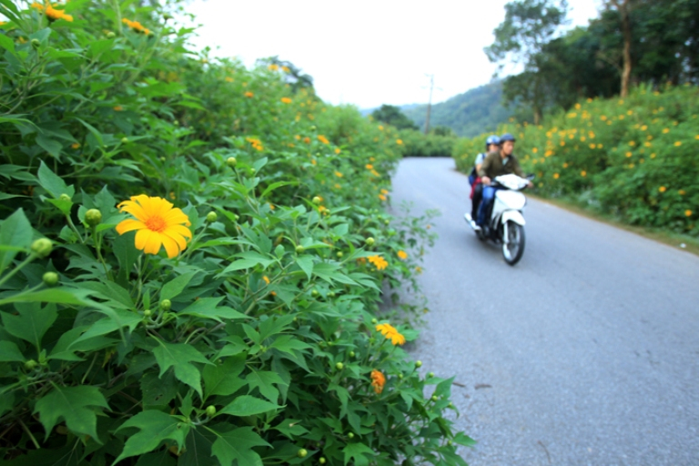 Len nui Ba Vi thuong hoa da quy hinh anh 2