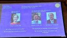 trio win nobel chemistry prize for research harnessing evolution
